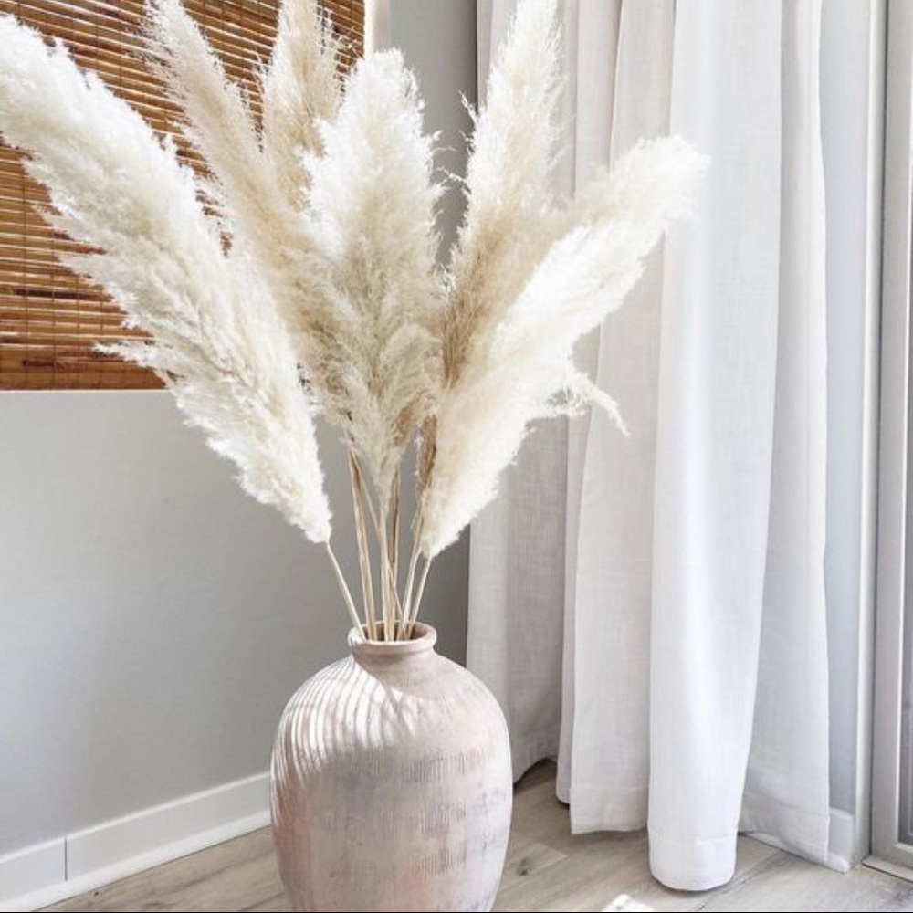 5 pack of REAL Cream Pampas Grass 4 feet home decor